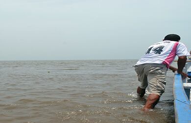 En algunas partes de la ciénaga, incluso en la desembocadura de los ríos como el Aracataca, los bogas tienen que bajarse y caminar para desencallar las canoas. 
