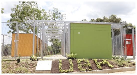 El Pitbull estará 10 días en la Unidad de Bienestar Animal de Bucaramanga.