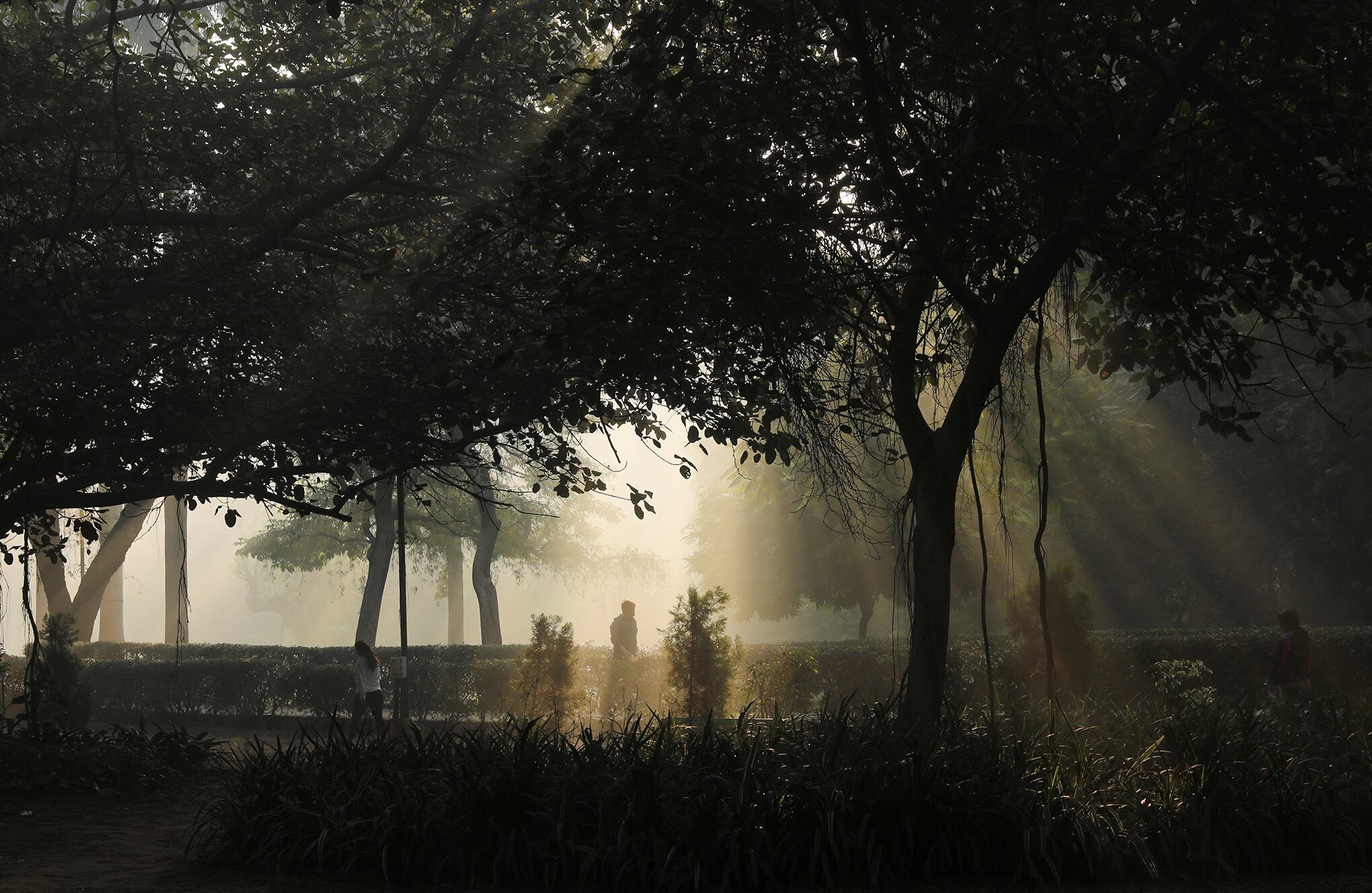 India ordena trabajar desde casa por la contaminación de Delhi