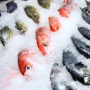 En el pescado congelado puede identificarse si está en buen estado.