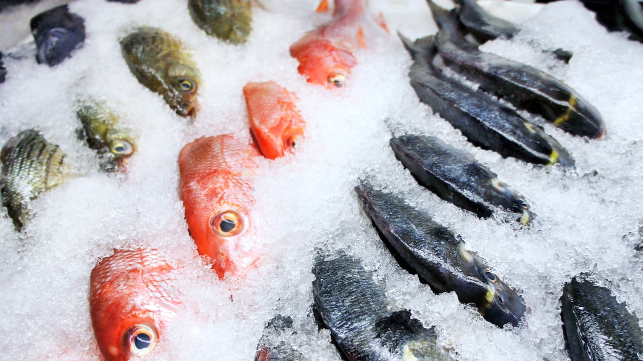 En el pescado congelado puede identificarse si está en buen estado.