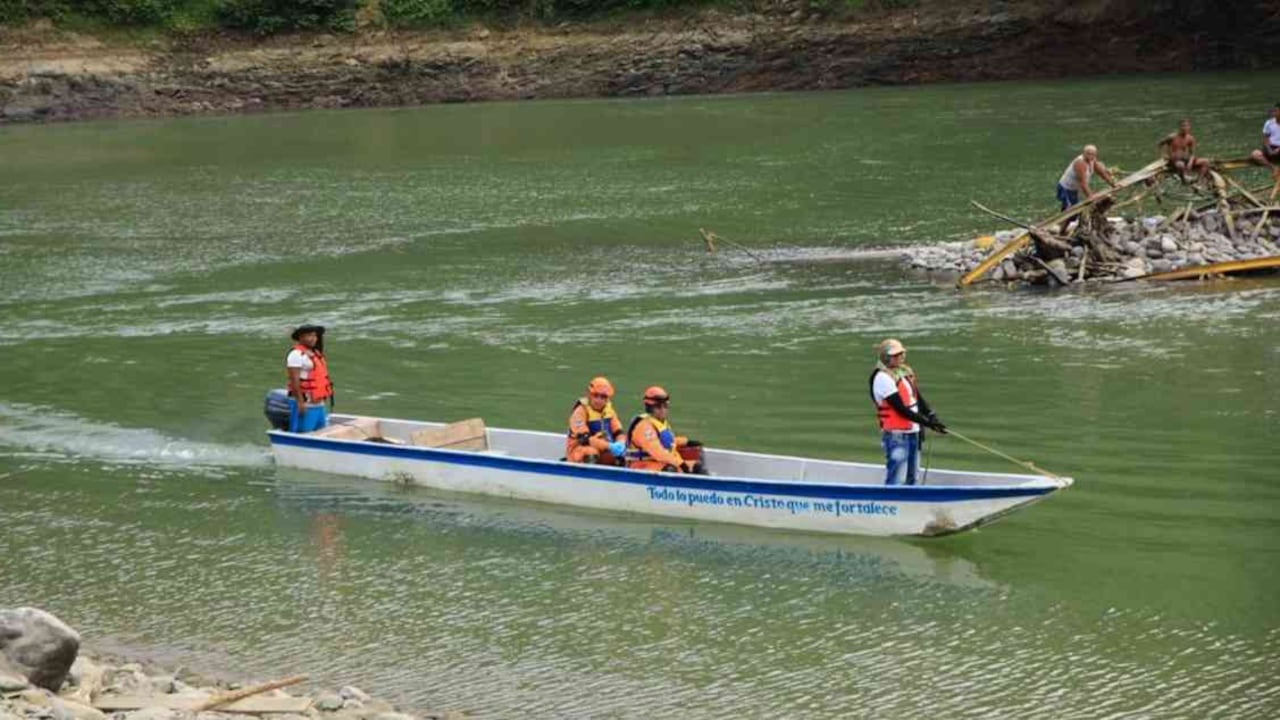 Pescadores capacitados, biólogos y técnicos conforman el grupo de brigadistas que rescatan peces. Foto: EPM