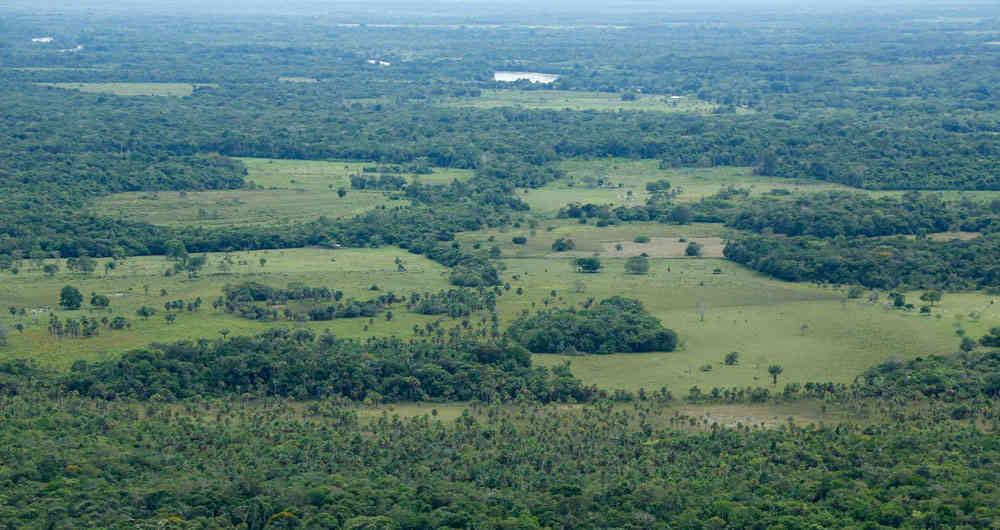 "No podemos sacrificar la protección del medio ambiente para favorecer intereses agrarios privados. Las normas ambientales deben prevalecer para garantizar el bienestar de todos los colombianos”, sostuvo Julia Miranda.