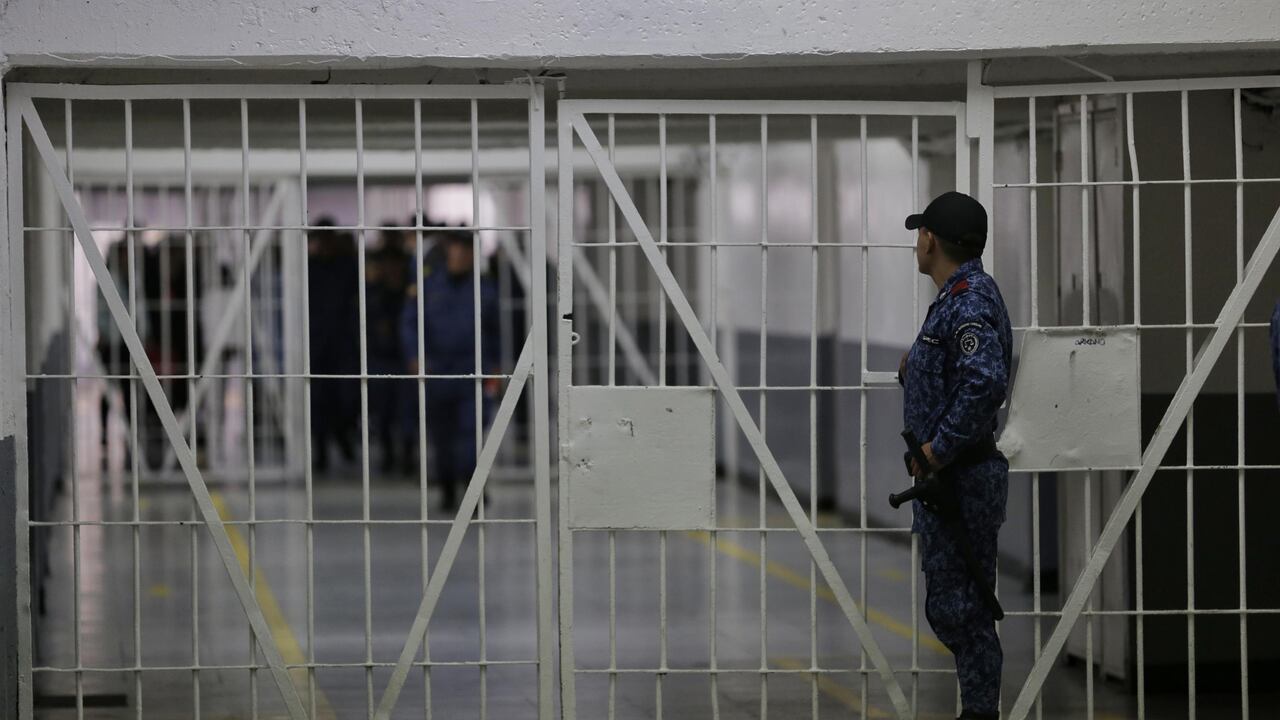 Imagen de referencia.