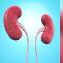 Expertos indican que los cálculos renales se pueden tratar con analgésicos y fluidoterapia. Foto: Getty images.