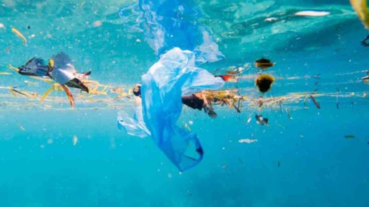Es común ver basura en aguas poco profundas, pero estos materiales han comenzado a trasladarse al fondo de mar. Getty Images.