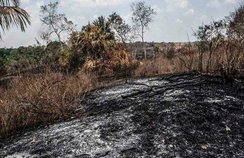Foto: Joaquín Sarmiento / AFP