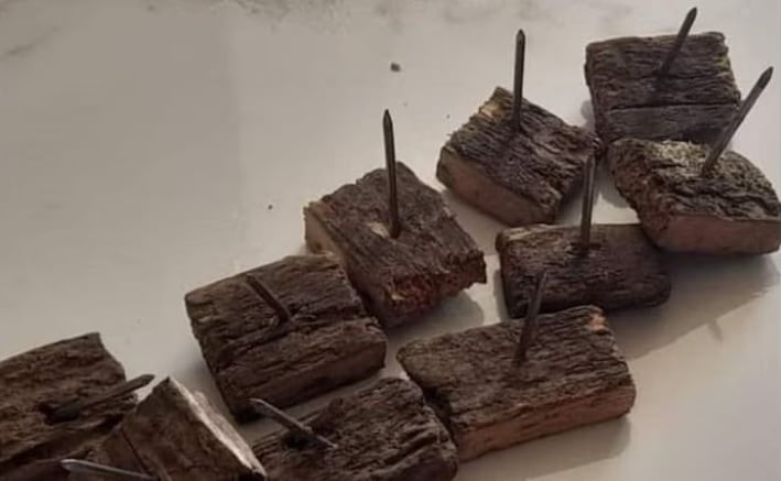 En reconocido sendero natural de Cali instalaron peligrosas trampas para lastimar a caminantes.