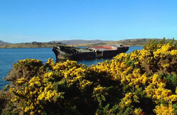 12.173 kilómetros cuadrados ocupan las 740 islas del archipiélago que forman las Islas Falklands.
