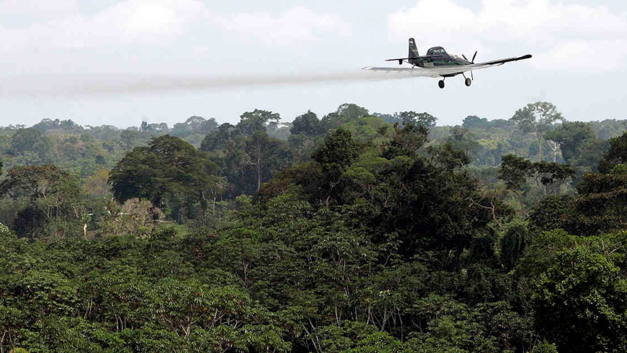 Retomar la aspersión aérea con glifosato es la estrategia del gobierno para atacar los cultivos de uso ilícito. Foto: archivo/ Semana.