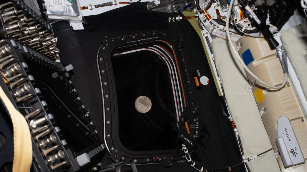 Esta fotografía de un miembro de la tripulación de Artemis II proporcionada por la NASA.