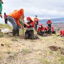 Un total de 150 individuos vegetales fueron plantados en el cumpleaños de Bogotá.