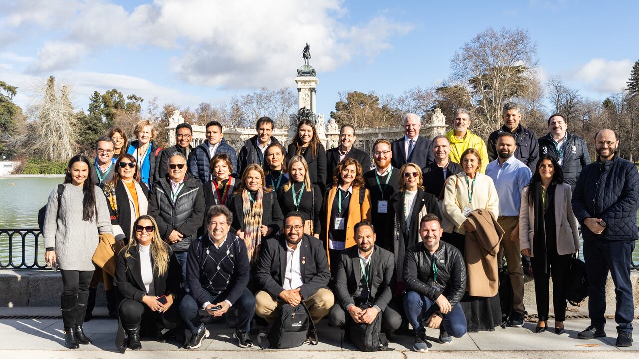 Araucaria parque el retiro