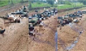 Las víctimas serían integrantes de organizaciones criminales que disputan el control del tráfico de estupefacientes en la región.