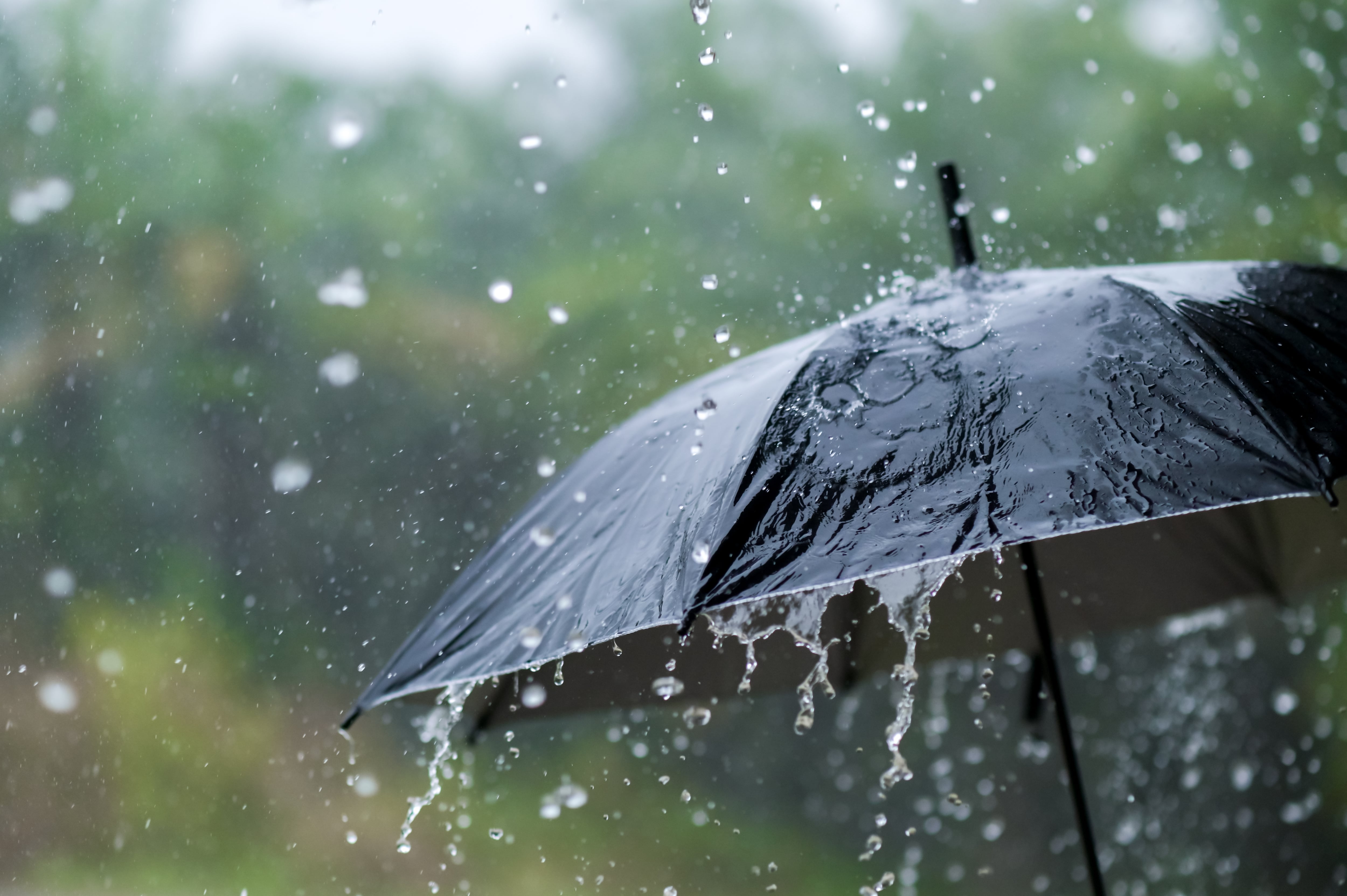 El fenómeno podría generar precipitaciones en sectores específicos del país.