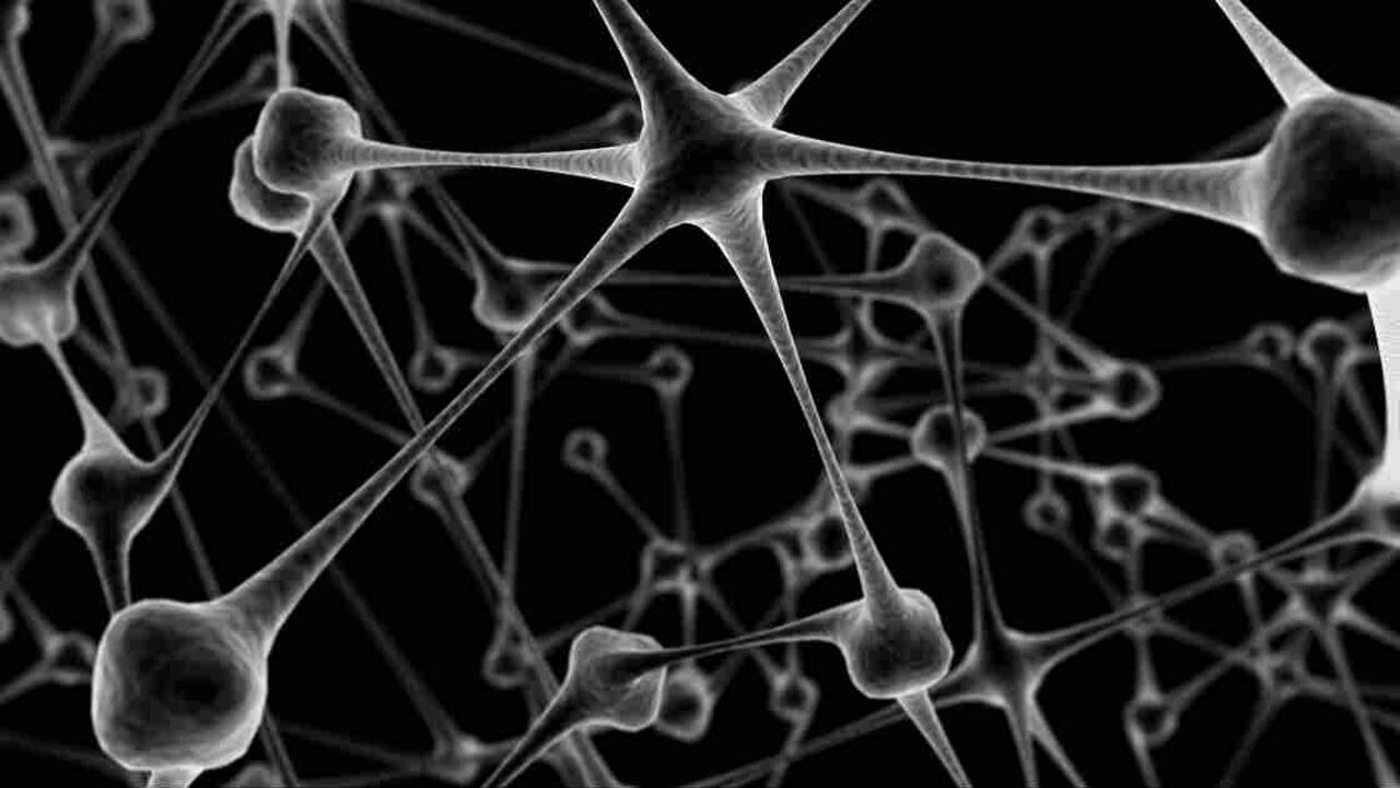 AlphaFold, de Google, resolvió un problema que llevaba 50 años