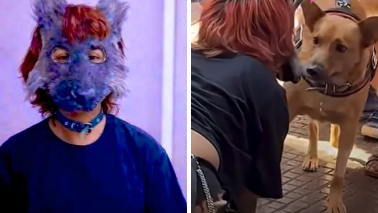 Las imágenes del momento se viralizaron en cuestión de horas.