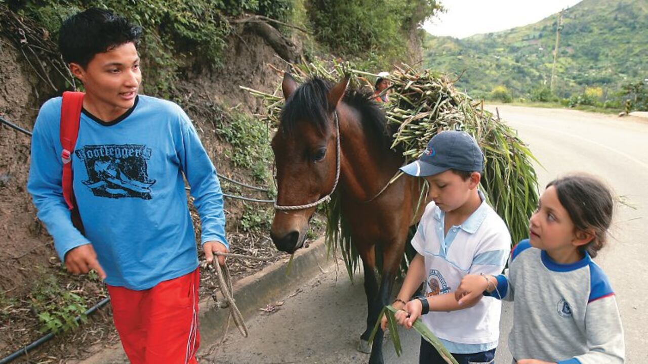 Más de 400.000 niños colombianos trabajan en actividades agrícolas.
