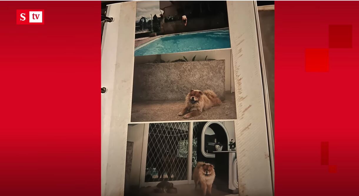 El famoso exfutbolista intenta recuperar un predio en el exclusivo sector de El Poblado en Medellín.