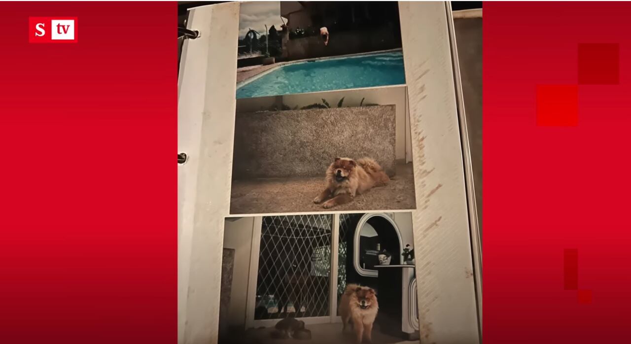 El famoso exfutbolista intenta recuperar un predio en el exclusivo sector de El Poblado en Medellín.