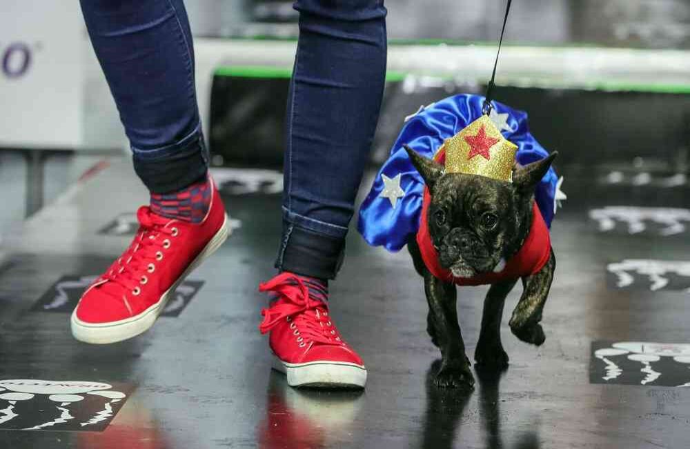 Foto: Carlos Julio Martínez / SEMANA