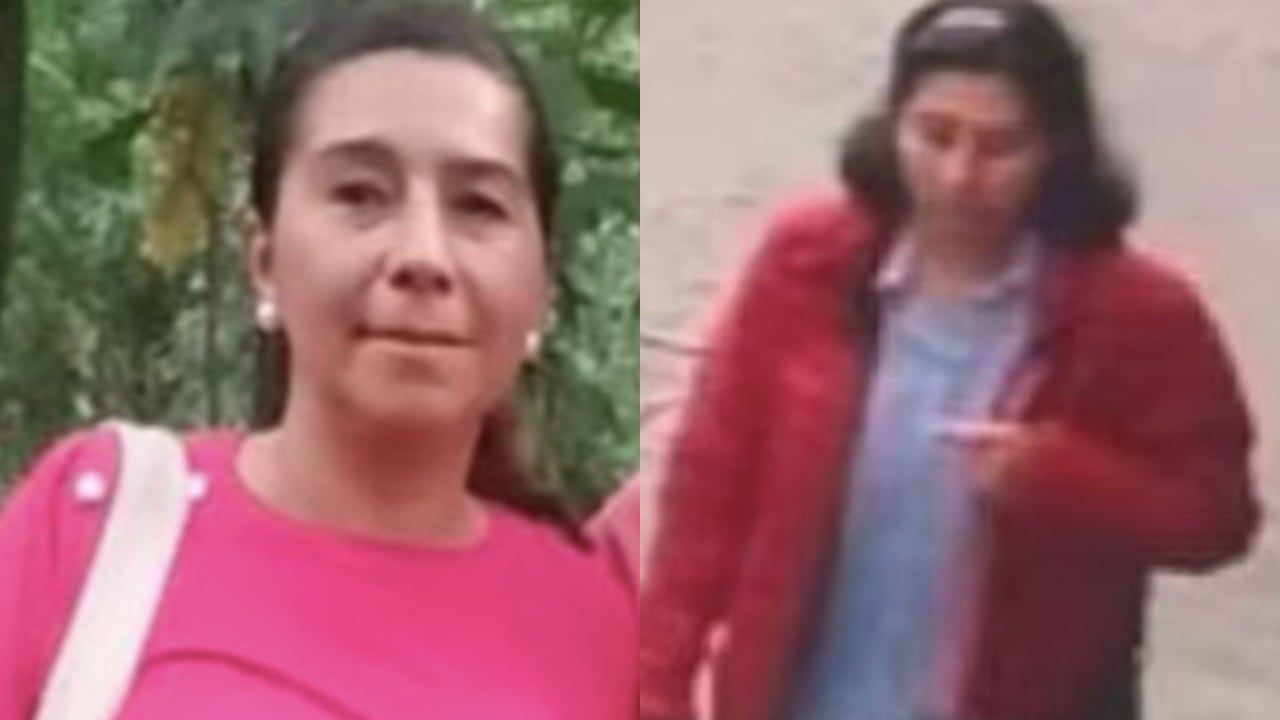 En la imagen, Liliana Andrea Molina.