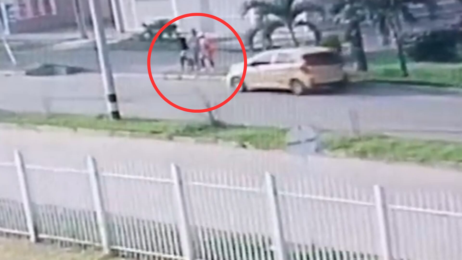 Los delincuentes se llevaron al hombre y a su mascota en un taxi en el mes de abril.