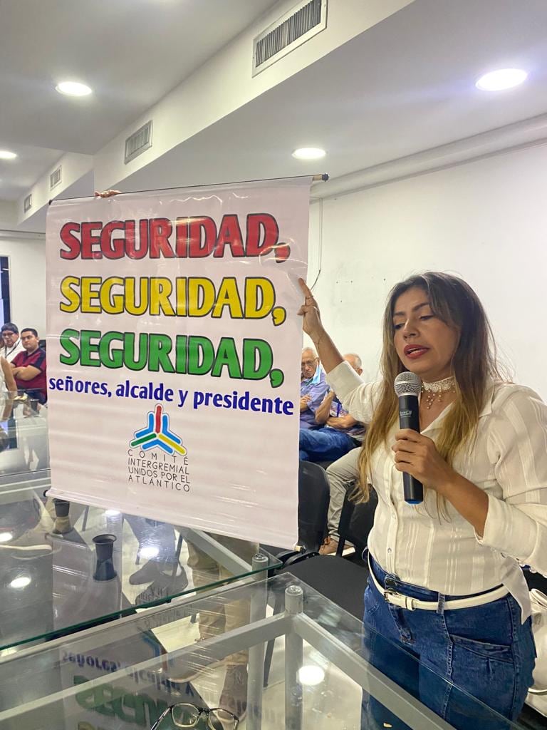 Dina Luz Pardo, directora de ASOCENTRO en medio de la reunión