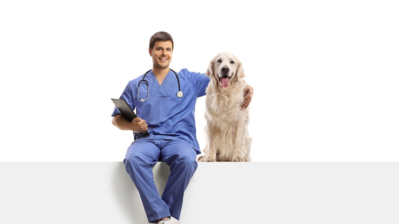 Guía para elegir al veterinario ideal