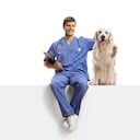 Guía para elegir al veterinario ideal