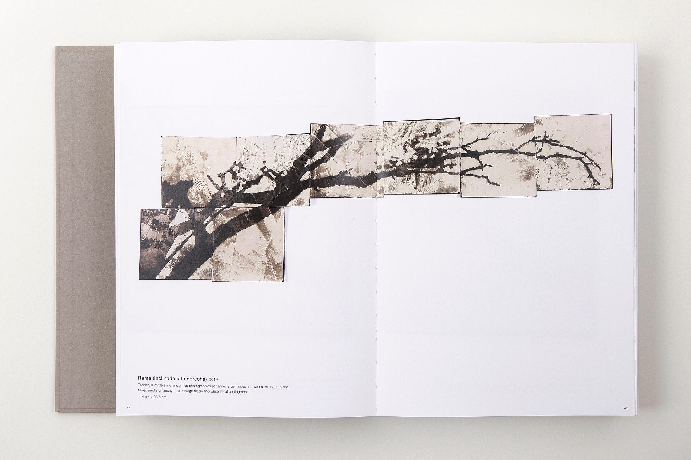 Johanna Calle Photo Graphias