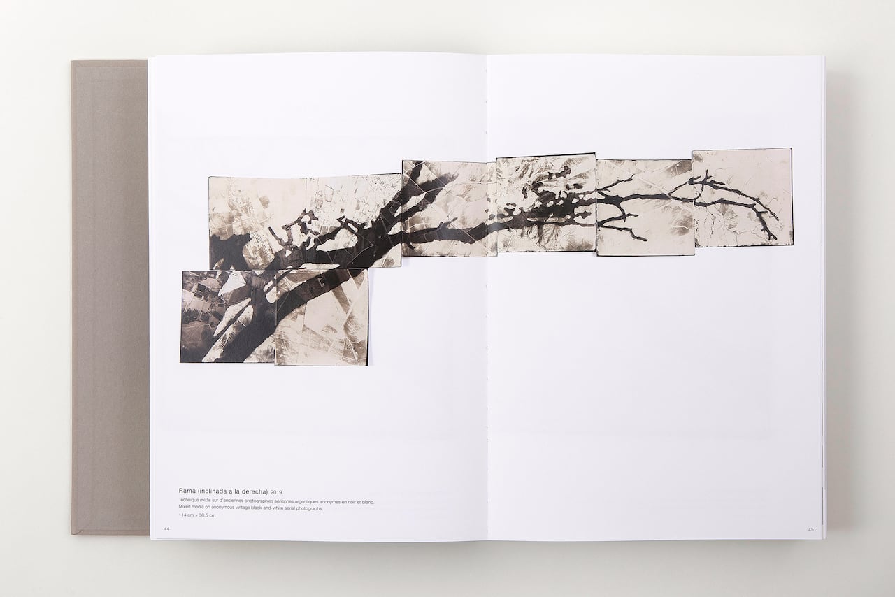 Johanna Calle Photo Graphias