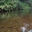 El río Piedras es el segundo más caudaloso después del Cauca.