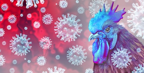 El virus de la gripe aviar es visto como un riesgo para la salud - ilustración 3D