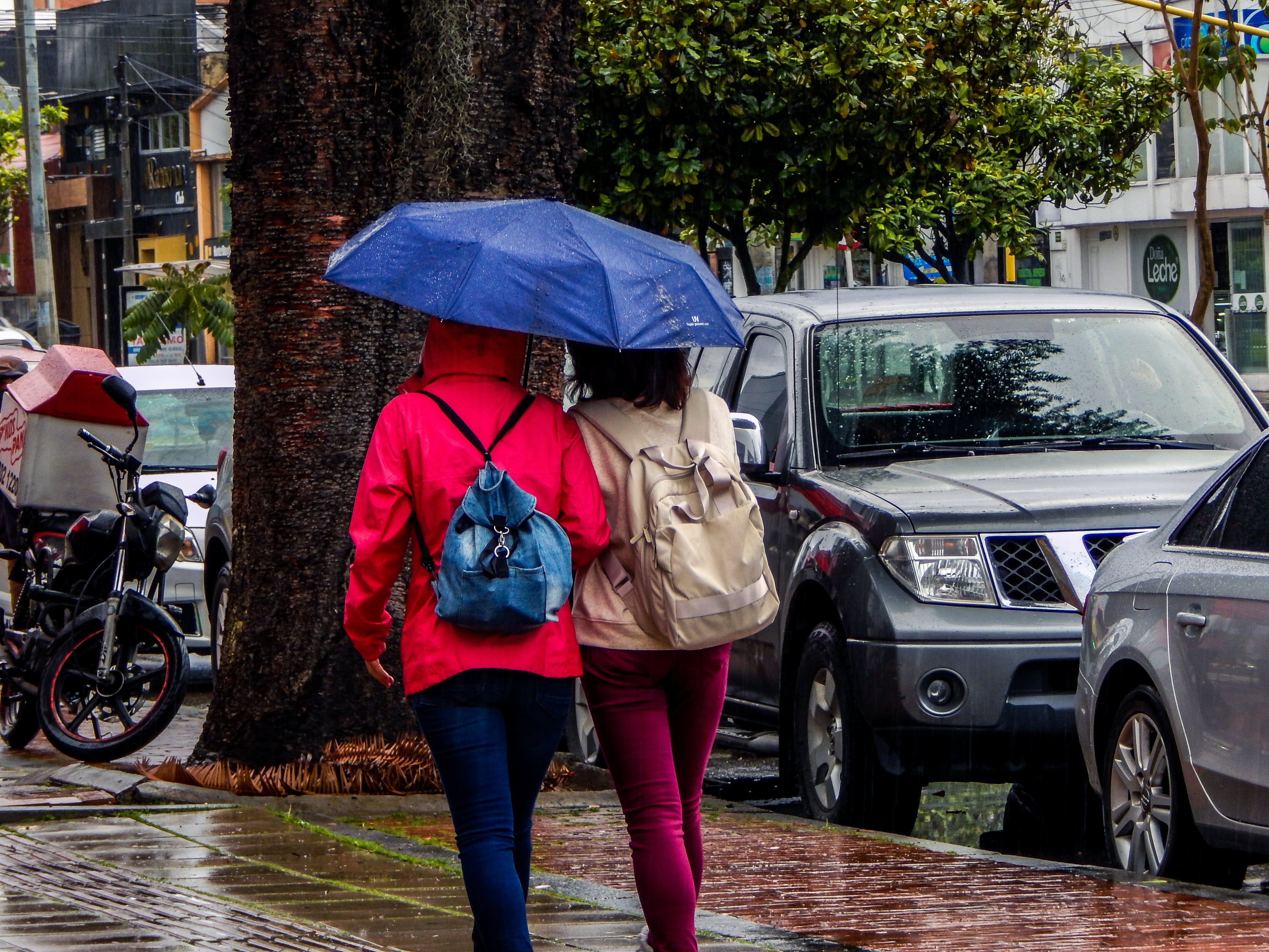 Cielo nublado y lluvias intermitentes marcarán el clima en Bogotá, con mayor intensidad en sectores del suroriente durante la tarde y noche.