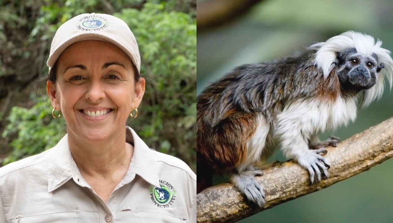 Rosamira Guillén, directora Ejecutiva de la Fundación Proyecto Tití