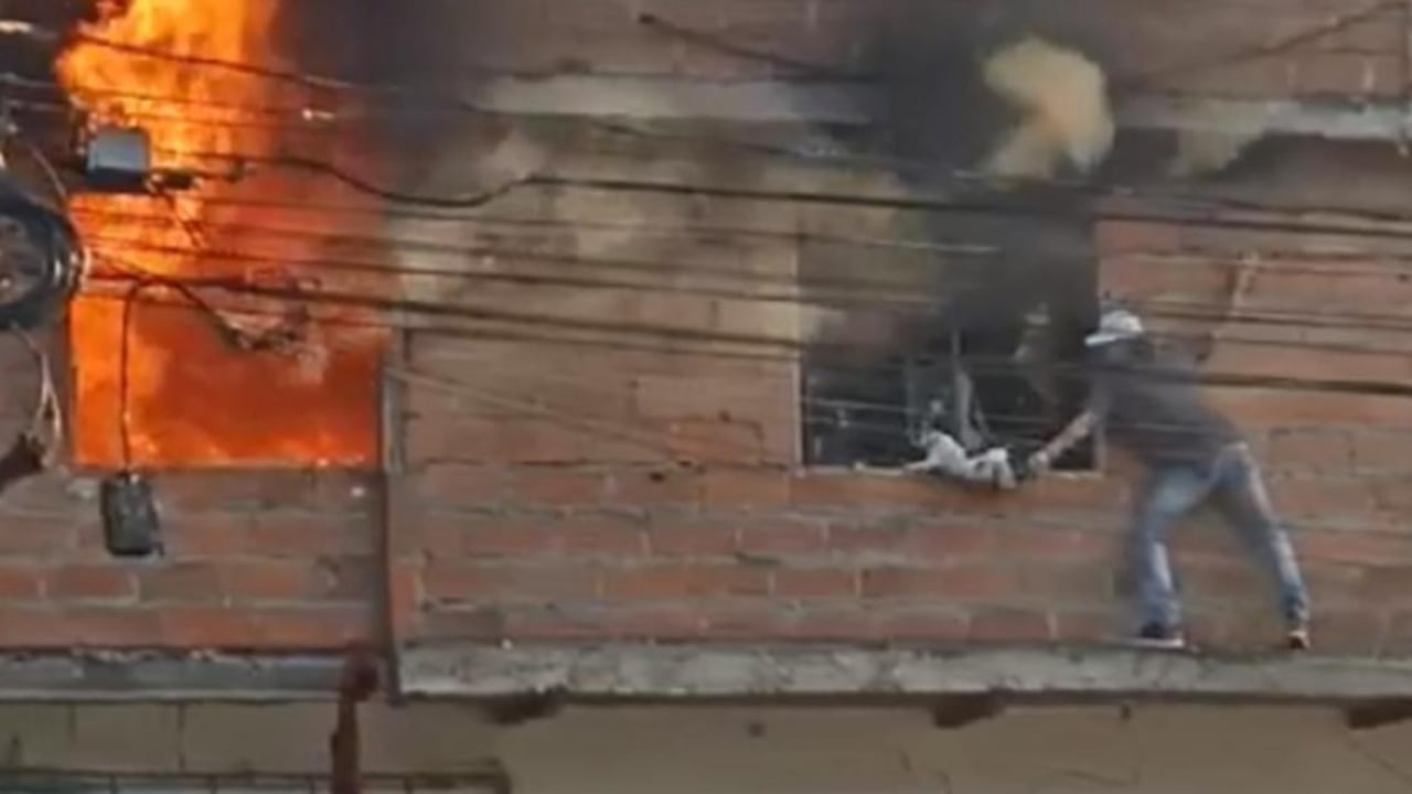 Hombre rescató a gatos en medio de incendio en Medellín.