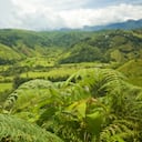 Salento, Colombia
