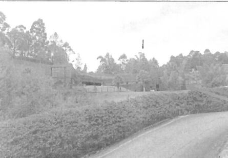En las últimas horas fue capturado Luis Alberto Rendón, padre de la artista. Un juez la envió a la casa por cárcel.