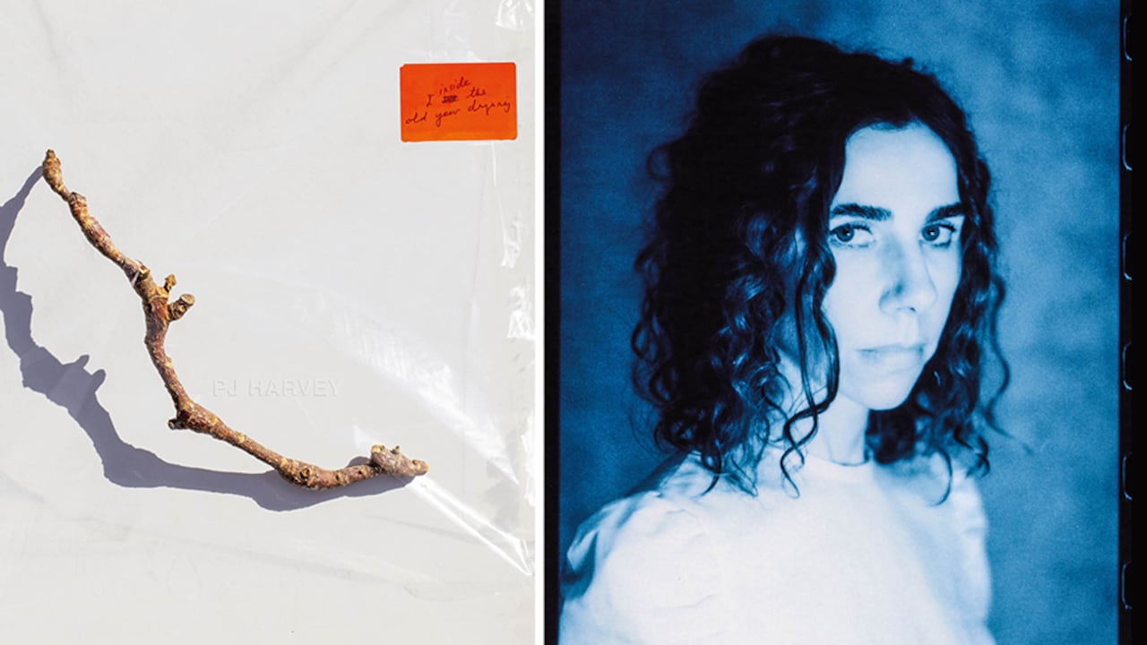 En este, el décimo disco de su carrera, Polly Jean Harvey habitó las escenas sonoras que estableció su productor, Flood. Este siglo, ella abandonó la rigidez y experimenta mucho más.