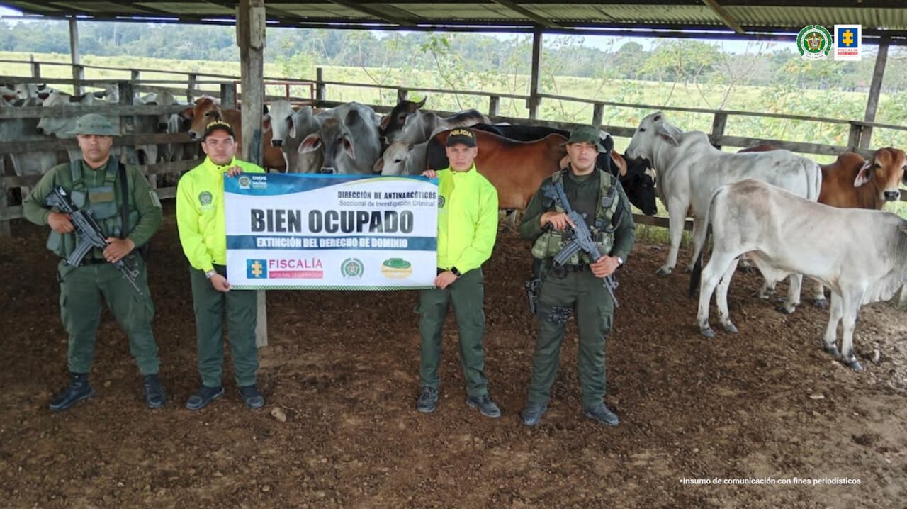 Ofensiva contra el narcotráfico: Fiscalía impactó en más de 12.250 millones de pesos el patrimonio de redes ilícitas