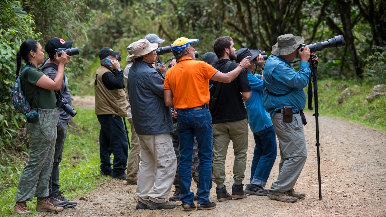 Cali, Colombia - 3 de marzo de 2024: Observadores de aves en una carretera rural en el Valle del Cauca, Colombia