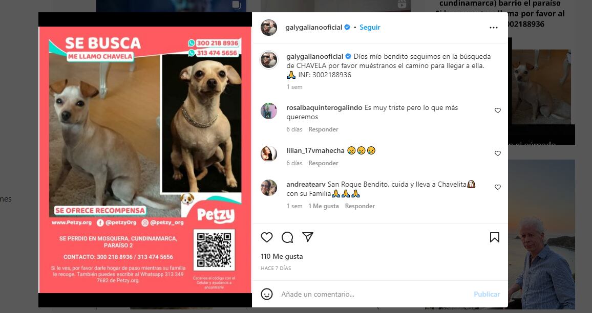 recompensa que ofrece Galy Galiano por recuperar su pequeña perra "Chavela"