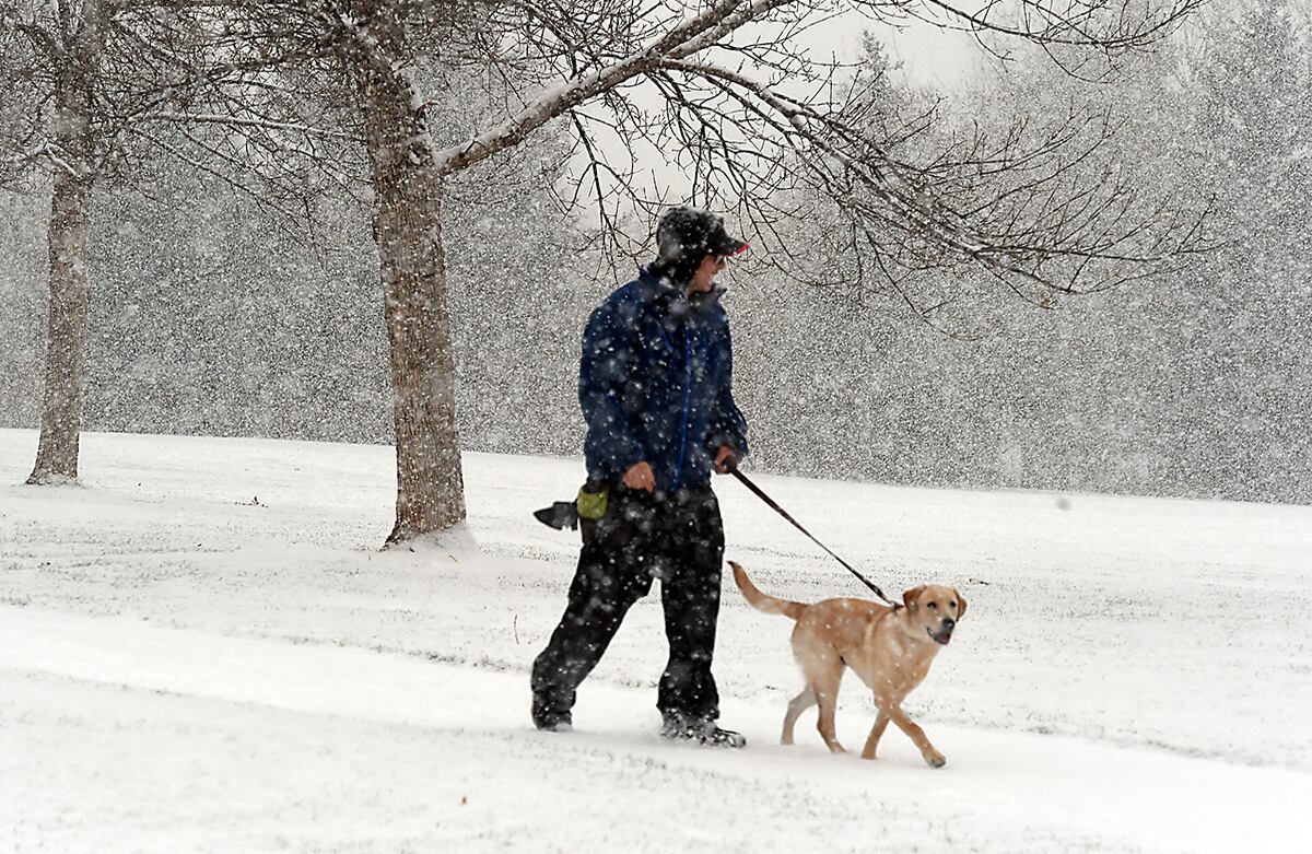 Peter Moses pasea con su perro Ziggy en Fort Collins, Colorado. Es la primera vez que el labrador, de siete meses de edad, camina por una nevada. (AP)