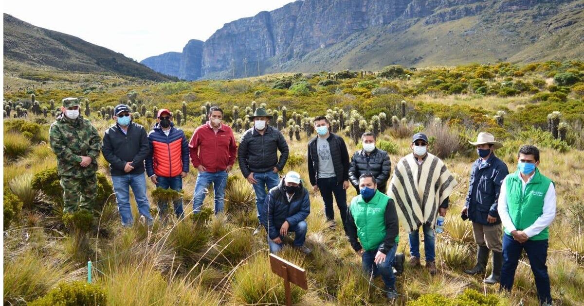 Alcaldes de Boyacá se comprometieron con la restauración de los páramos