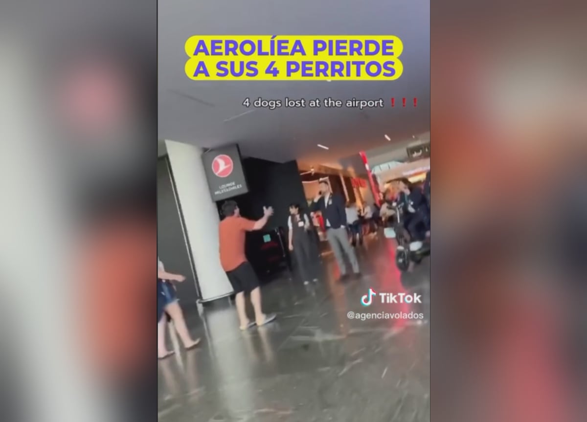 tik tok: @agenciavolados