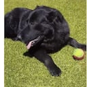 Tony Camacho en las instalaciones del estadio Nemesio Camacho El Campín.
