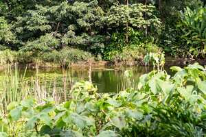 El Jardín Botánico de Medellín ofrece recorridos guiados y gratuitos.