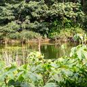 El Jardín Botánico de Medellín ofrece recorridos guiados y gratuitos.