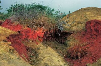 Lourdes Grobet (México) http://fotomuseo.org/fotografica_2013 